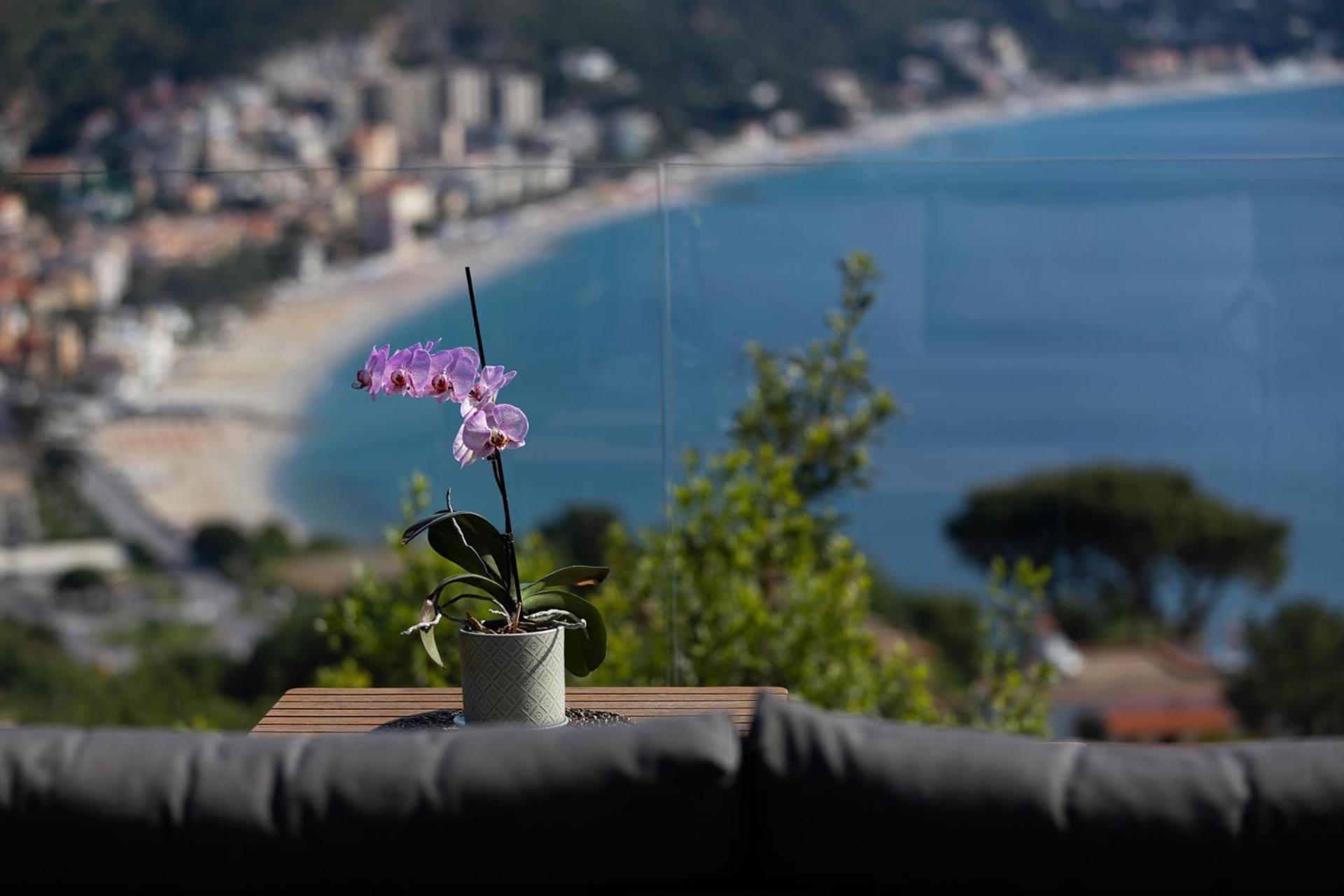 Spettacolare Vista Isola Terrazza E Idromassaggio Villa Noli Exterior photo